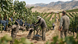 Andes Wines invita a cosechar Malbec de San Rosendo de más de 140 años